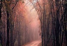 赛车——F1澳大利亚大奖赛：练习赛赛况.