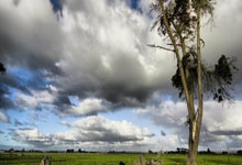 C7娱乐官网：外媒：美国奥委会调查冬奥项目性骚扰事件环球时报.