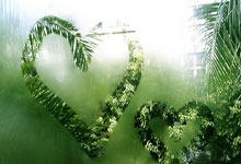 C7娱乐官网：爆冷!西部倒数第一战胜东部第三 魔术力克活塞.